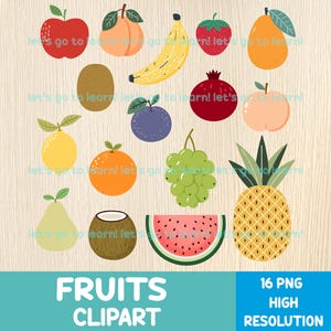 Fruit clipartbundel - digitale fruitillustraties PNG-set - voedsel clipart - voor ambachten en educatieve projecten - sublimatie - transfers