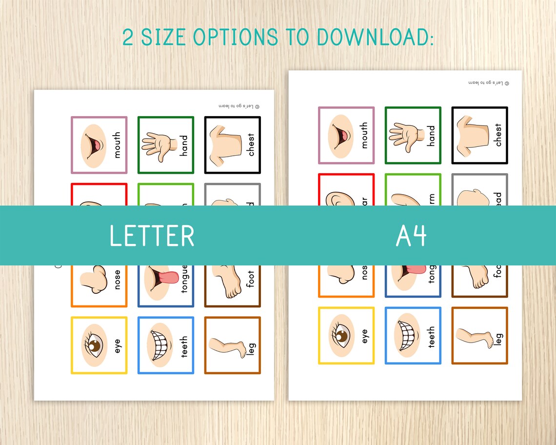 Body Parts Matching Activity for Toddlers, Human Body, Toddler Busy ...