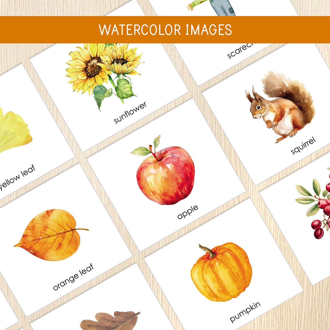 Fall Memory Game, Autumn Matching Activity, Fall Vocabulary, Visual ...