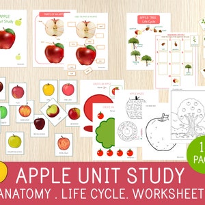 Estudio de unidad sobre la manzana, ciclo de vida, variedades de manzanas, partes de la manzana, actividad de otoño, paquete de aprendizaje de otoño, educativo, Charlotte Mason, educación en casa