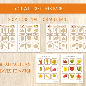 Puede incluir: Un conjunto imprimible de 18 hojas de oto&ntilde;o para hacer coincidir. El conjunto incluye dos hojas con los nombres de las hojas y sus siluetas, y dos hojas con las hojas para cortar y hacer coincidir. Las hojas son de varios tonos de marr&oacute;n, amarillo y rojo.