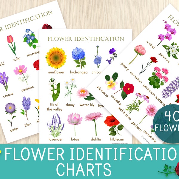 Flower Identification Charts, 3 Charts, 40 Flowers, Spring Activity, Flower Posters, Complement Flower Unit Study, Educational Printables