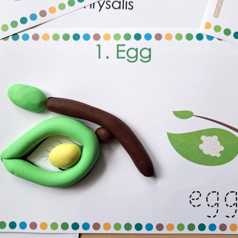 May include: A green play dough egg with a yellow yolk inside, on a white card with the text "1. Egg" and a brown play dough branch. The card has a green leaf with a white egg on it and the word "egg" written in dotted lines.
