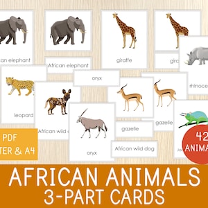 Schede in 3 parti sugli animali africani - Schede di nomenclatura - Unità di studio sull'Africa - Scuola materna e asilo - Montessori - Materiale didattico stampabile