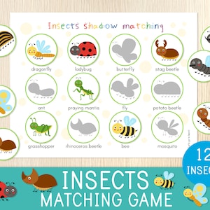 Gioco di abbinamento degli insetti - Attività di abbinamento delle ombre - Bambini piccoli, scuola materna, scuola materna, scuola materna, pagina del libro occupato, centri prescolari, istruzione parentale