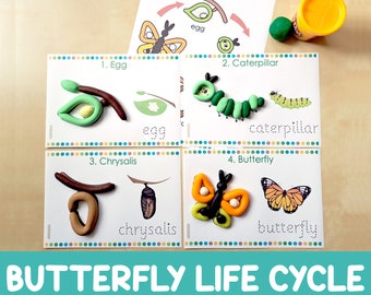 Butterfly Life Cycle Playdough Mats, Play Doh Activity, Preschool Game, Pre-k, Kindergarten, Biology for Kids, Insects, Science Center