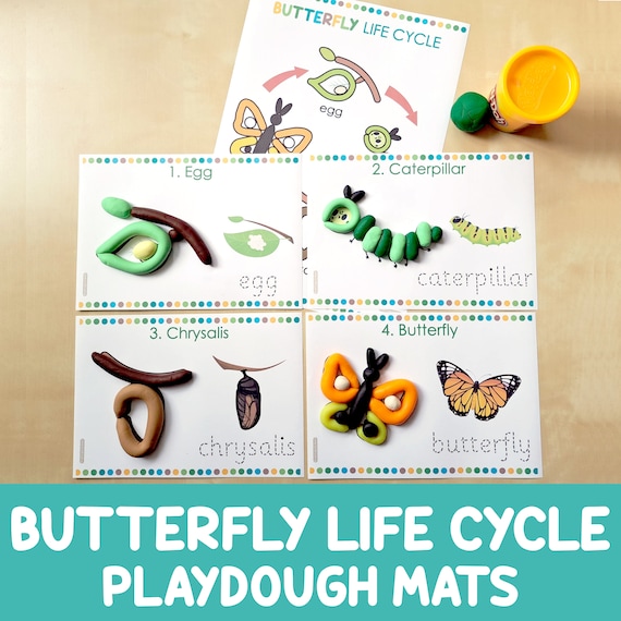 Butterfly Life Cycle Playdough Mats, Play Doh Activity, Preschool Game, Pre-k, Kindergarten, Biology for Kids, Insects, Science Center