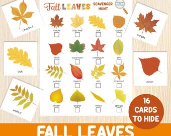 Fall Leaves Scavenger Hunt with Cards— Printable Autumn Leaf Indoor Outdoor Treasure Hunt — Nature Activity, Preschool & Classroom Fall Game