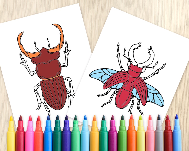 May include: Two coloring pages featuring stag beetle illustrations. The first beetle is brown with orange antlers. The second beetle is red with blue wings. A row of colorful markers are below the pages.
