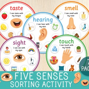 Actividad de clasificación de los cinco sentidos, juego de clasificación de los cinco sentidos, preescolar, jardín de infantes, hojas de trabajo del cuerpo humano, idea de bolsas de actividades, Montessori