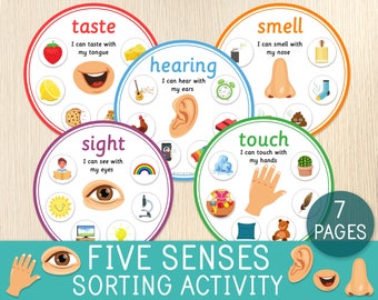 Actividad de clasificación de cinco sentidos, juego de clasificación de 5 sentidos, preescolar, jardín de infantes, hojas de trabajo del cuerpo humano, idea de bolsas ocupadas, Montessori