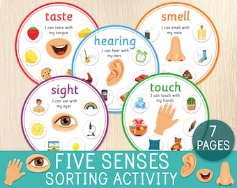 Five Senses Sorting Activity, 5 Senses Classification Game, Preschool, Kindergarten, Human Body Worksheets, Busy Bags Idea, Montessori