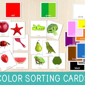 Cartões de classificação por cores, correspondência de cores, atividade Montessori, criança pequena, pré-escola, cores para crianças, cartões para impressão, sensorial, centros pré-escolares