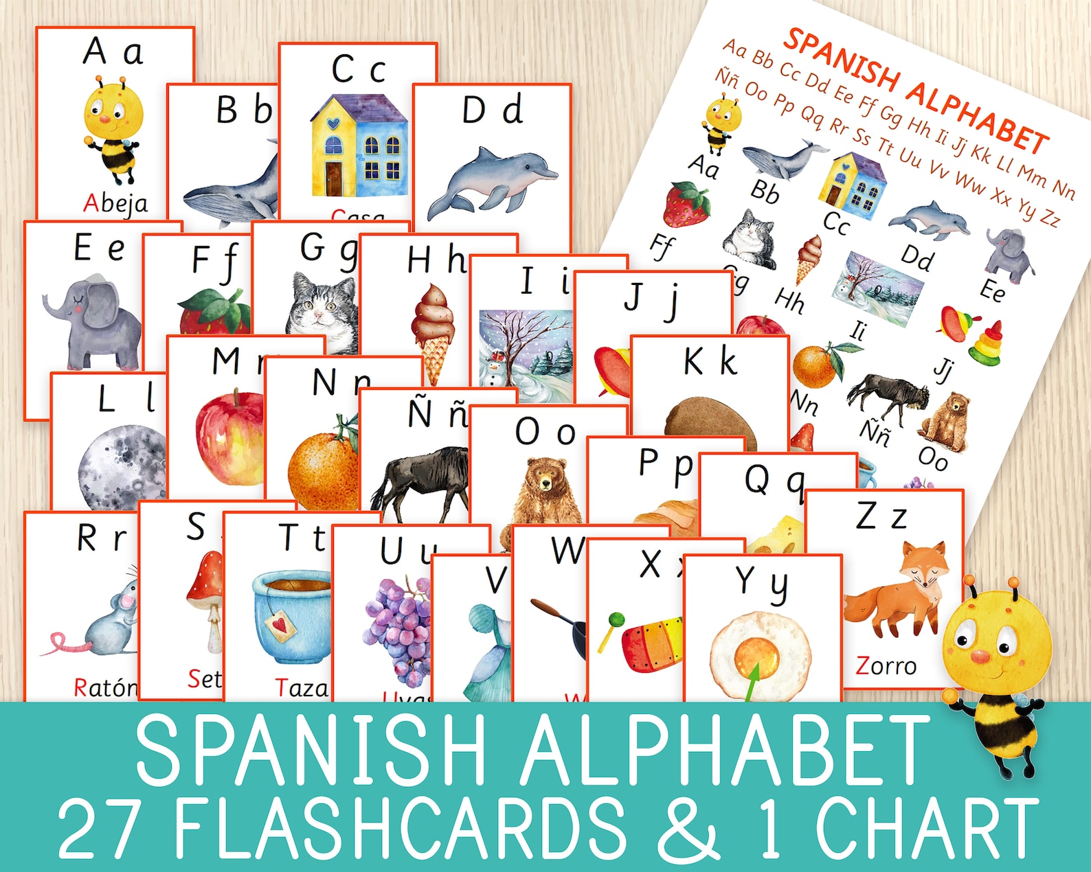 Spanish Alphabet BUNDLE 27 Flashcards 1 Chart & 1 | Etsy