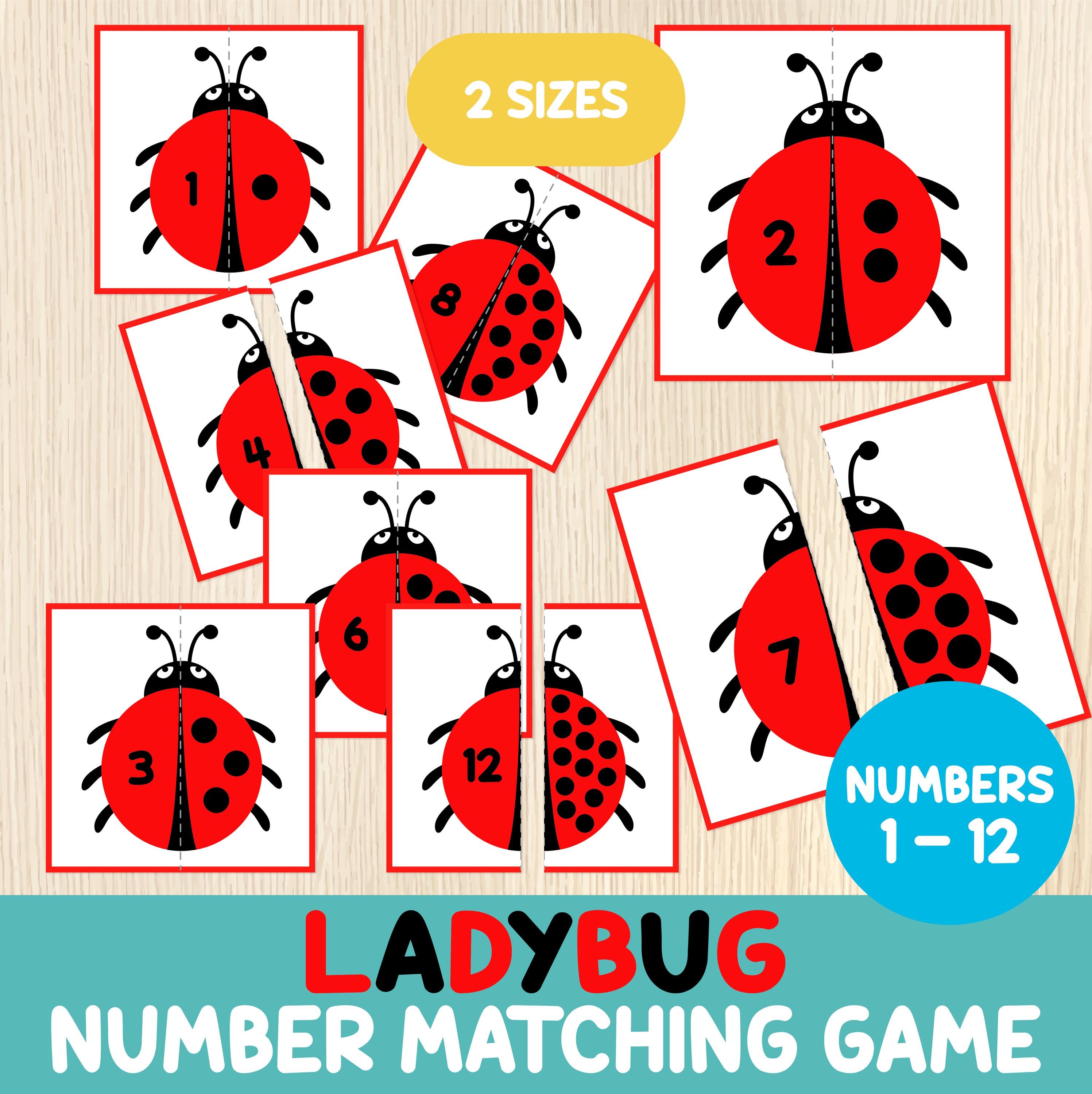 Ladybug Number Matching Game – Number Recognition Activity for ...