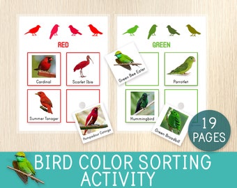 Bird Color Sorting Activity, Birds and Colors for Kids, Biology, Preschool, Kindergarten, Montessori Materials, Worksheets, Birds Unit Study