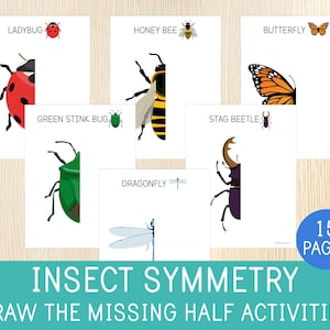 Insects Symmetry, Draw the Missing Half Activity, Bugs Drawing & Coloring Worksheets for Kids, Science Centers, Preschool, Kindergarten