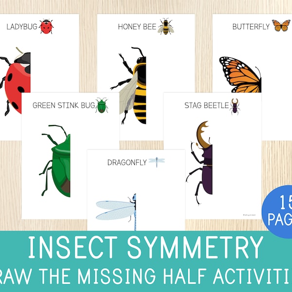 Half Insect Drawings Insect Drawings - Etsy