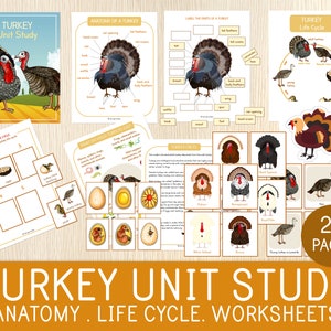 Estudio de unidad sobre el pavo: anatomía, ciclo de vida, tarjetas didácticas, razas, hojas de trabajo, páginas para colorear, actividades de Acción de Gracias, otoño, material educativo imprimible.