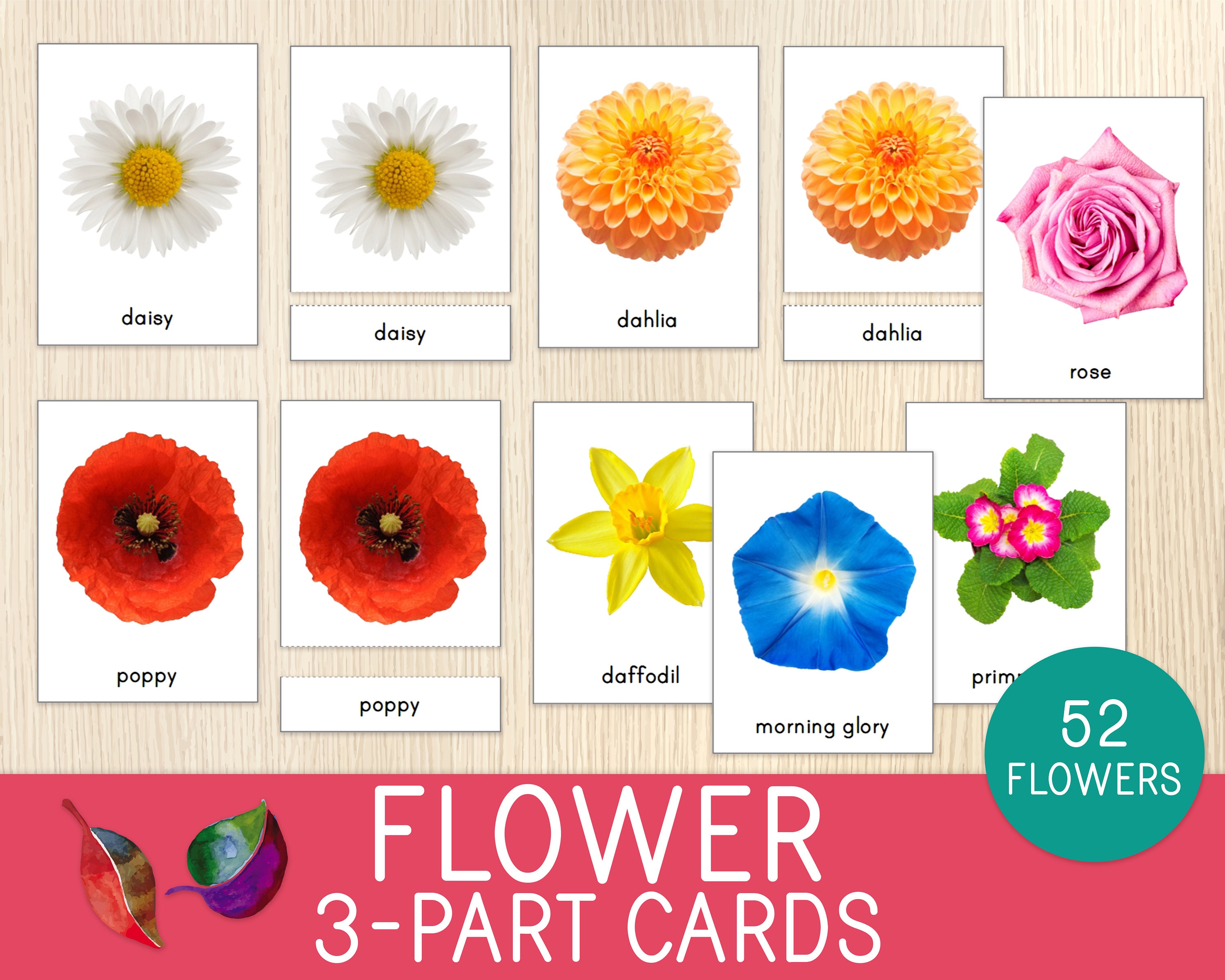 Flower 3-Part Cards, 52 Nomenclature Cards, Real Images, Montessori Activity, Flashcards, Flower Recognition,Botanical Cards,Printable Cards