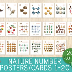 Natuurnummerposters, kaarten tellen, getallen 1-20, decor thuis en klas, kunst aan de muur, peuter, kleuterschool, thuisonderwijs, Charlotte Mason