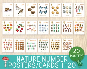 Nature Number Posters, Counting Cards, Numbers 1-20, Home and Classroom Decor, Wall Art, Toddler, Preschool, Homeschool, Charlotte Mason