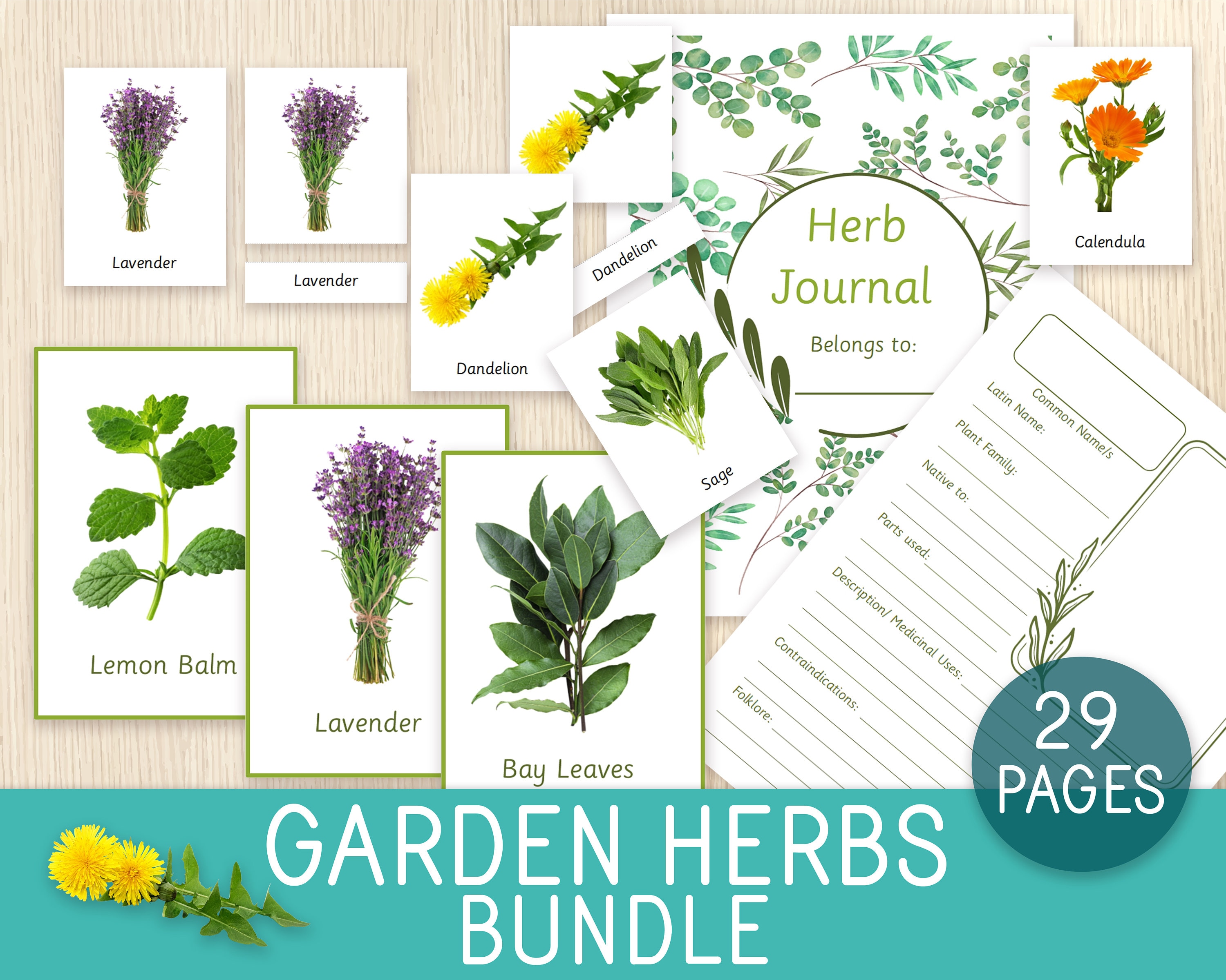 Garden Herbs BUNDLE 26 Herbs Flashcards 3Part Cards Etsy