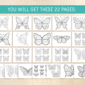 May include: A set of 22 printable coloring pages featuring various butterfly designs. Each page includes a single butterfly illustration, with some pages featuring multiple smaller butterflies.