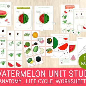 Estudio de la unidad de la sandía: partes, ciclo de vida, variedades, hojas de trabajo, paquete de aprendizaje, materiales educativos imprimibles, Charlotte Mason, Montessori