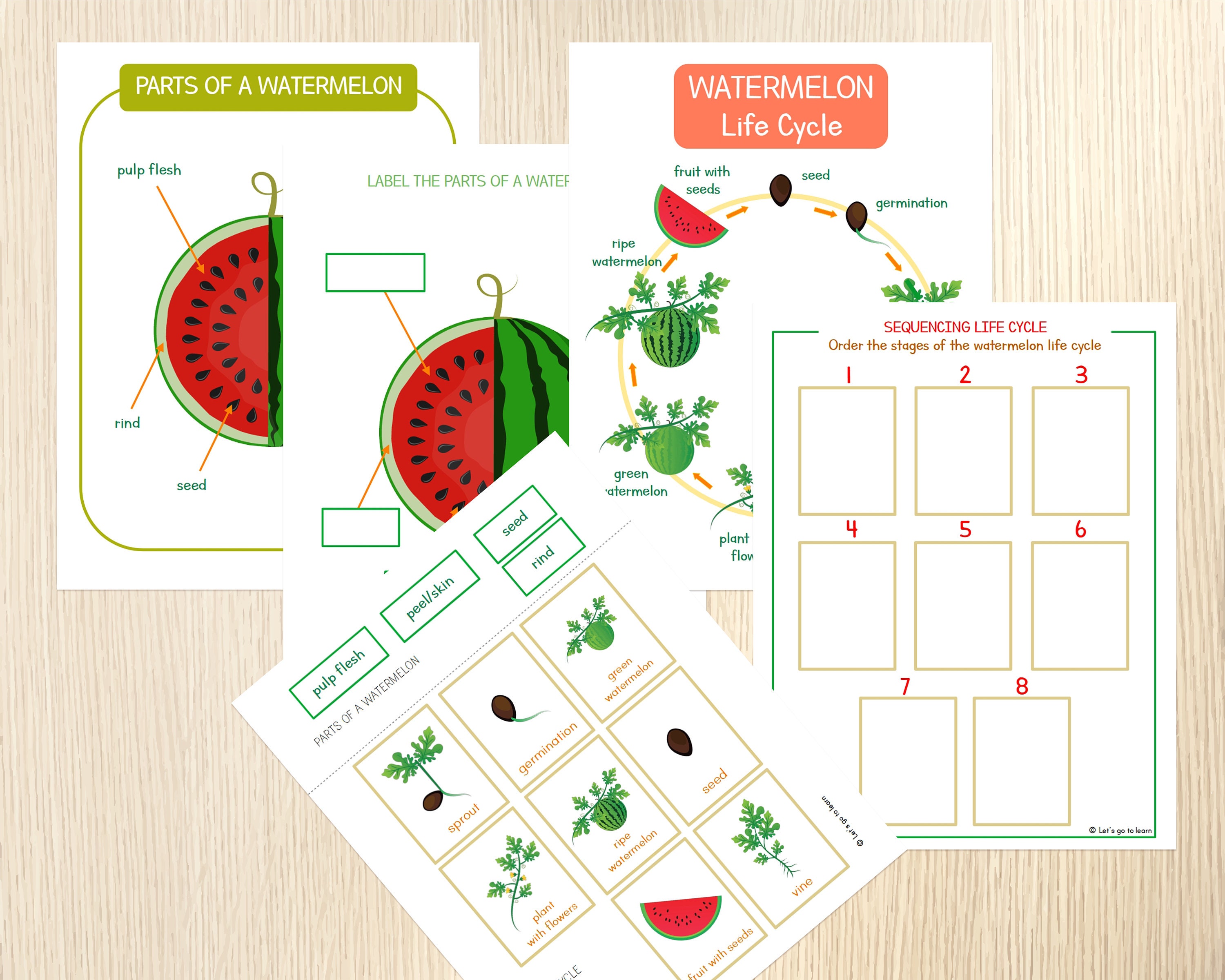 Watermelon Unit Study, Parts, Life Cycle, Varieties, Worksheets ...
