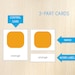 Colors 3-part Cards, Nomenclature Cards, Colors Recognition, Montessori ...