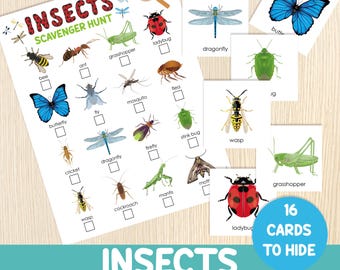 May include: An insect scavenger hunt game with a checklist and 16 cards to hide. The checklist features illustrations of various insects, including butterflies, ladybugs, and dragonflies. The game is designed for educational fun.