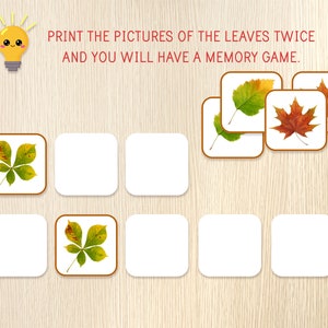 Puede incluir: Un juego de memoria imprimible con im&aacute;genes de hojas de oto&ntilde;o. El juego incluye dos de cada hoja: una hoja amarilla y verde, una hoja roja y naranja y una hoja marr&oacute;n y verde.