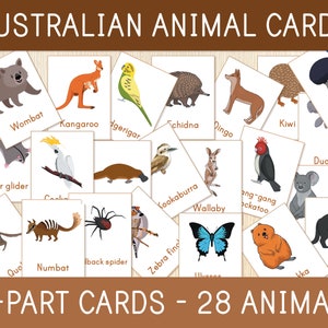 Australian Animals Cards - 3-Part Cards - 28 Animal Cards - Toddler & Preschool Flashcards - Nomenclature Cards - Montessori Materials