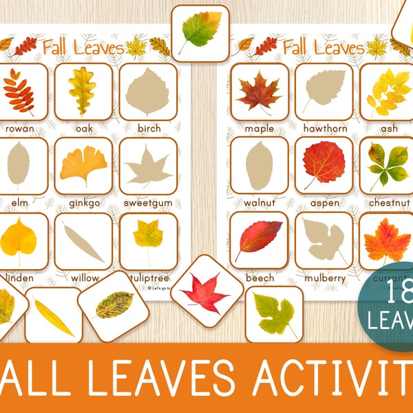 Fall Leaf Matching Activity, Autumn Leaves, Shadow Matching Game, Toddler, Preschool, Montessori Material, Leaf Identification, Busy Book