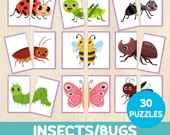 Bugs Matching Game - Insects Symmetry Cards - Toddler Matching Activity - Preschool Learning - Montessori Puzzles - Homeschool Resource