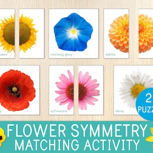 Rompecabezas de simetría de flores, actividad de emparejamiento, 28 tarjetas, juego para niños en edad preescolar, identificación de flores, primavera, estudio de unidad sobre flores, Montessori