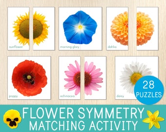 Flower Symmetry Puzzles, Matching Activity, 28 Cards, Toddler Preschool Game, Flower Identification, Spring, Flower Unit Study, Montessori