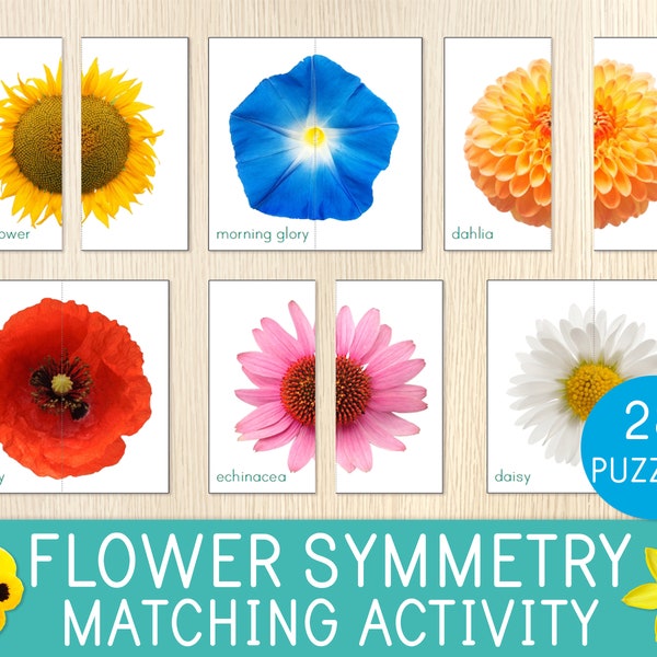 Flower Symmetry Puzzles, Matching Activity, 28 Cards, Toddler Preschool Game, Flower Identification, Spring, Flower Unit Study, Montessori