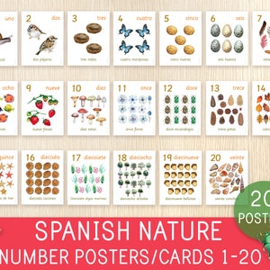 Spanische Natur Zahlen Poster, Diagramme oder Karten - 1 bis 20, Zählkarten, Haus- und Klassenzimmerdekoration, Wandkunst, Kleinkind, Vorschule, Hausschule