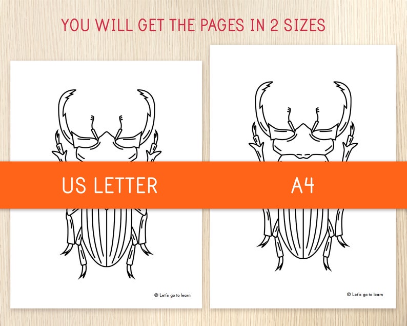 May include: Two black and white line drawings of a beetle, one labeled "US Letter" and the other labeled "A4".