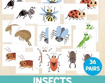 Insects Memory Game – Bug Matching Activity – Insects for Preschool & Kindergarten – Memory Cards – Homeschool Printable Learning Activity