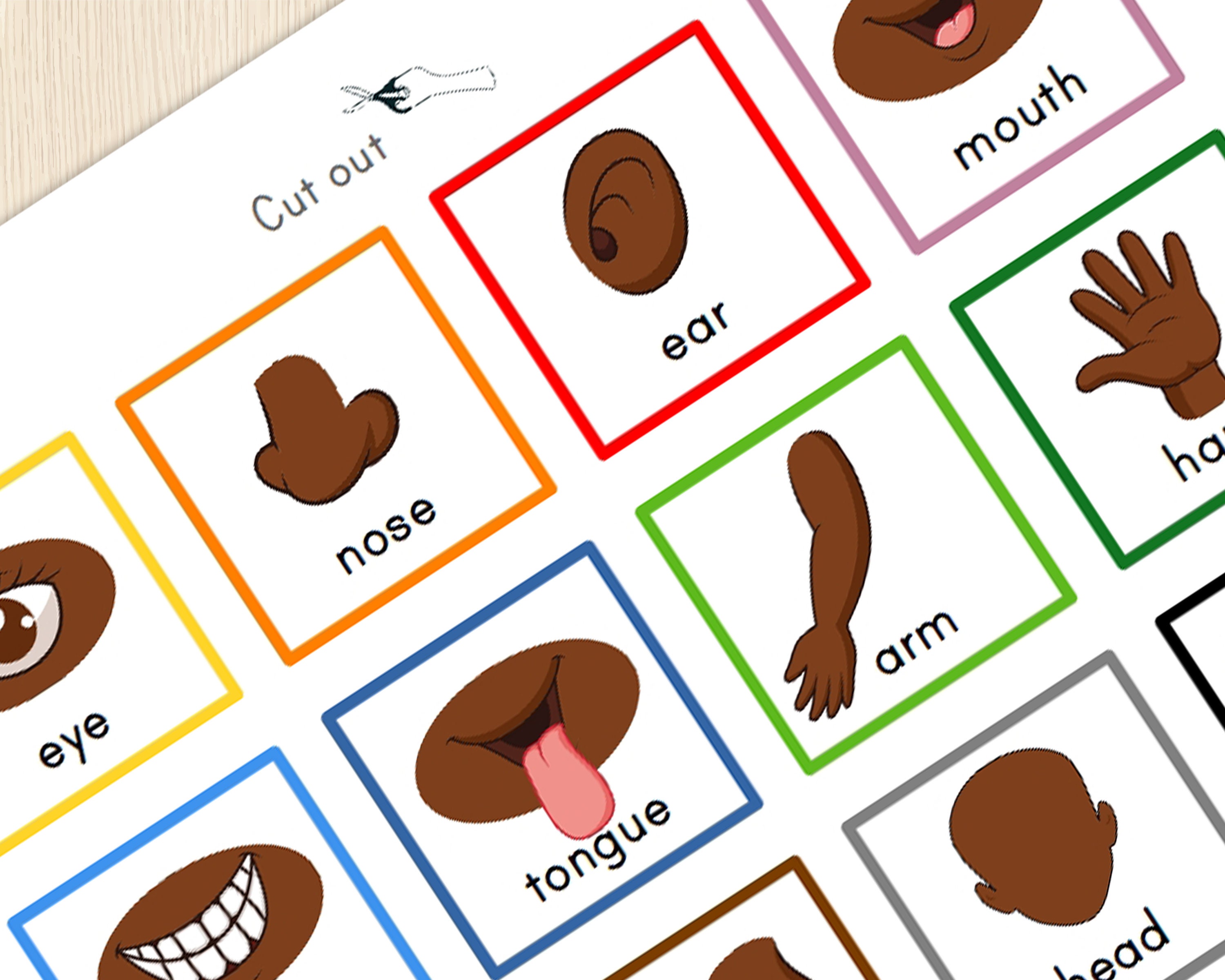 Body Parts Matching Activity for Toddlers Human Body Toddler | Etsy