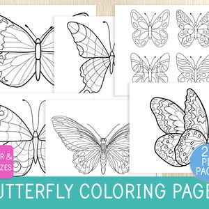 Páginas para colorear de mariposas para niños, 22 hojas, 47 mariposas, actividad de primavera, insectos, libro para colorear, actividad de fiesta, estudio de unidad sobre mariposas