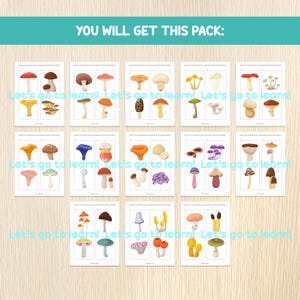 May include: A collection of illustrated flashcards featuring various types of mushrooms. Each card displays a different mushroom with its name. The text "YOU WILL GET THIS PACK:" and "Let's go to learn!" are visible.