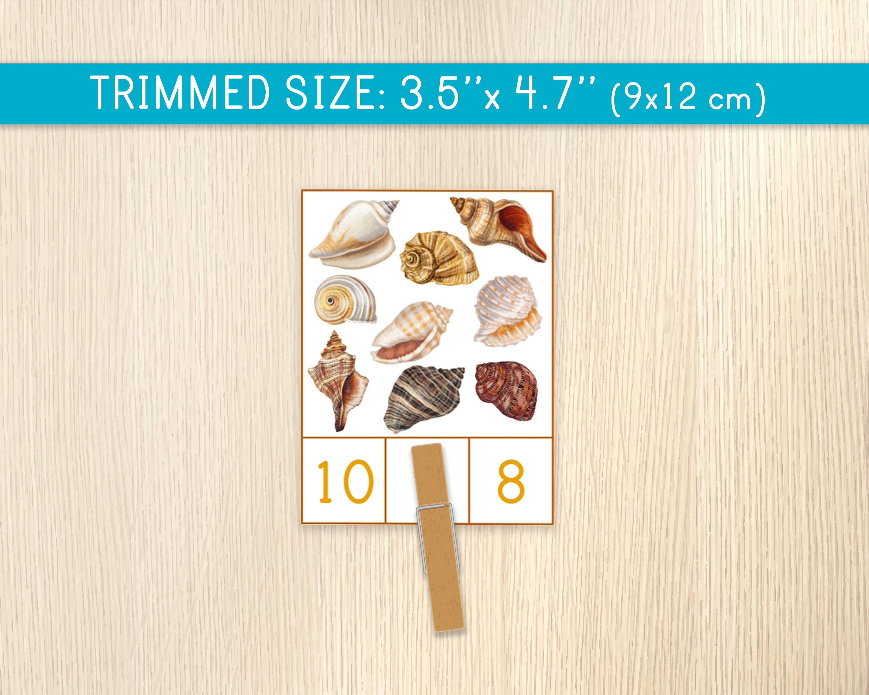 Shell Counting Bas Count & Clip Cards - Shells Counting - Numbers 1-20 - Montessori ...