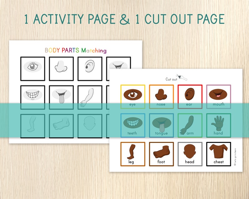 Body Parts Matching Activity for Toddlers - Human Body - Toddler Busy ...