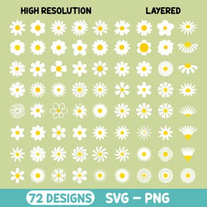 Daisy Bundle - Daisy SVG & PNG - Daisy Clipart Set, Cute Daisies, Layered Floral Elements for Cricut, Sublimation and Crafts, Spring Flowers