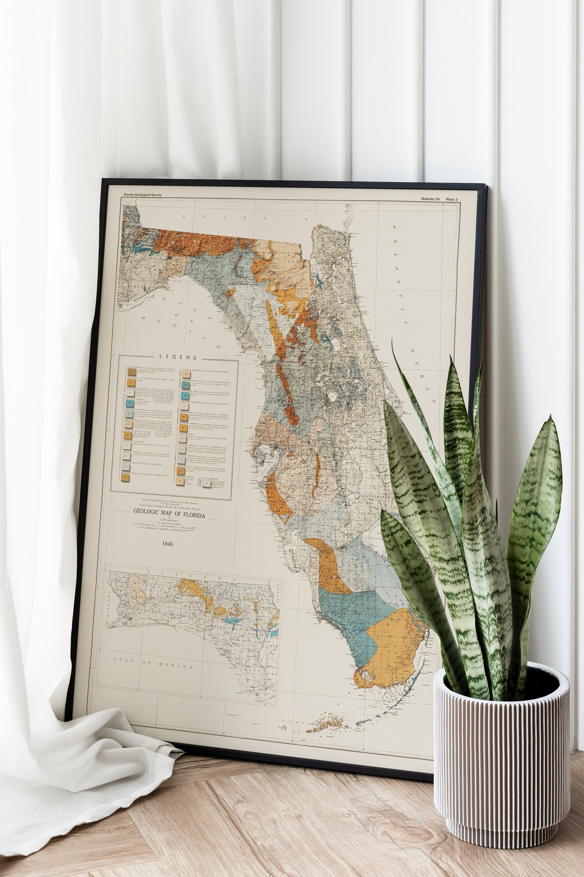 Florida Geologic Map 1945 Vintage - Il Fullxfull.5865491012 A4ih