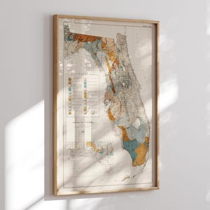 Florida Geological Map 1945 Vintage Reprint Mappa storica con effetto rilievo, arte murale vintage, stampa mappa Florida